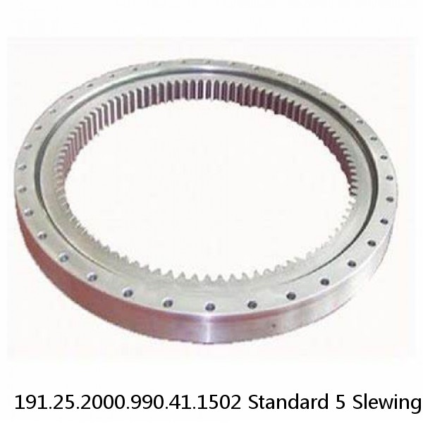 191.25.2000.990.41.1502 Standard 5 Slewing Ring Bearings