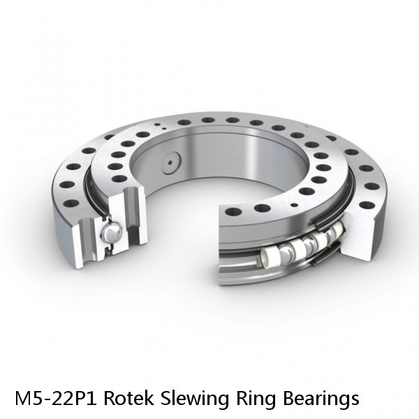 M5-22P1 Rotek Slewing Ring Bearings