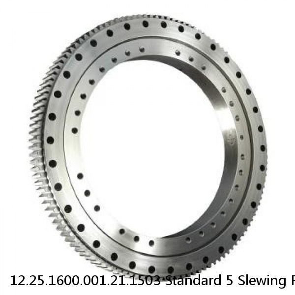 12.25.1600.001.21.1503 Standard 5 Slewing Ring Bearings