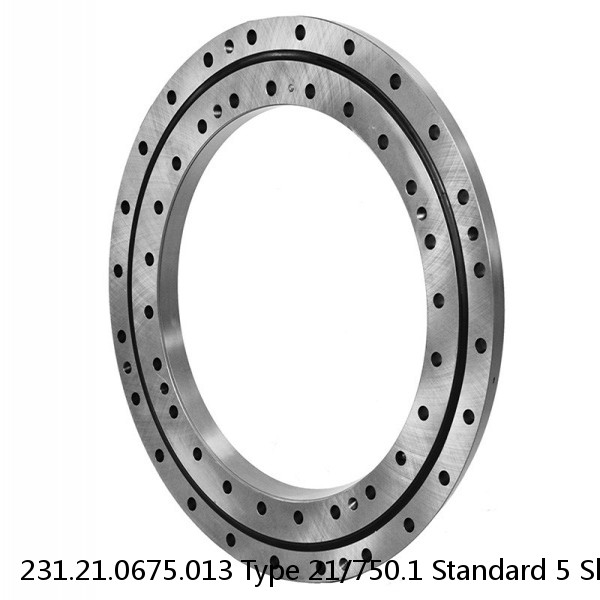 231.21.0675.013 Type 21/750.1 Standard 5 Slewing Ring Bearings #1 small image