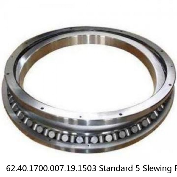 62.40.1700.007.19.1503 Standard 5 Slewing Ring Bearings #1 small image