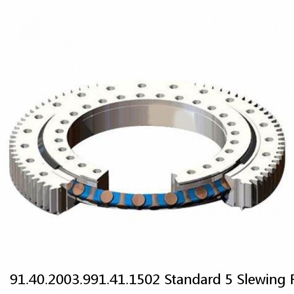 91.40.2003.991.41.1502 Standard 5 Slewing Ring Bearings #1 small image