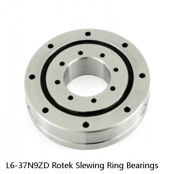 L6-37N9ZD Rotek Slewing Ring Bearings #1 small image