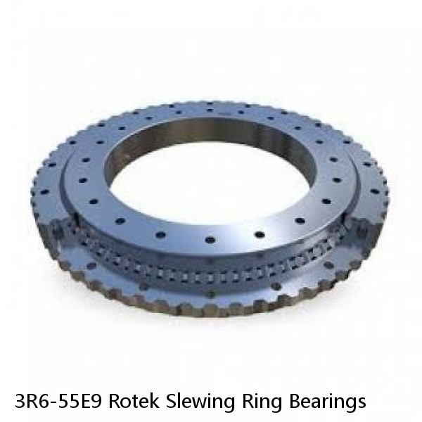 3R6-55E9 Rotek Slewing Ring Bearings #1 small image