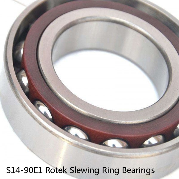 S14-90E1 Rotek Slewing Ring Bearings #1 small image