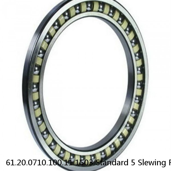 61.20.0710.100.11.1503 Standard 5 Slewing Ring Bearings #1 small image