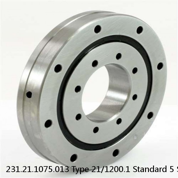 231.21.1075.013 Type 21/1200.1 Standard 5 Slewing Ring Bearings #1 image