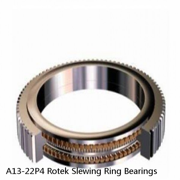 A13-22P4 Rotek Slewing Ring Bearings #1 image