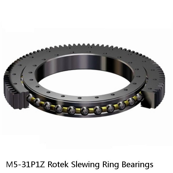 M5-31P1Z Rotek Slewing Ring Bearings #1 image