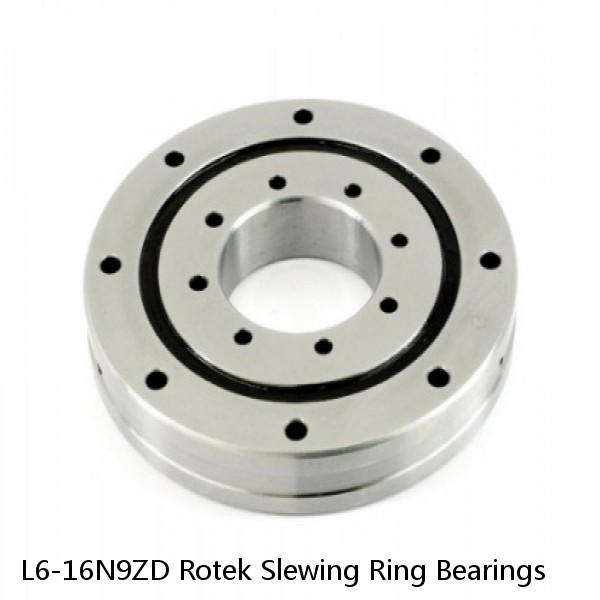 L6-16N9ZD Rotek Slewing Ring Bearings #1 image