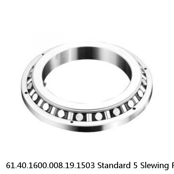 61.40.1600.008.19.1503 Standard 5 Slewing Ring Bearings #1 image