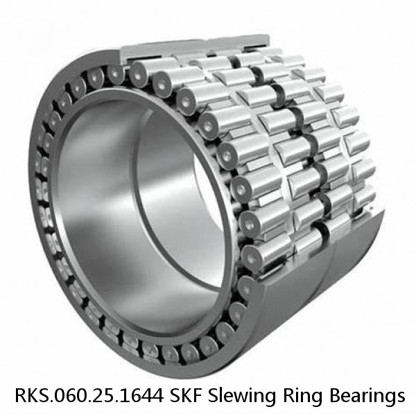 RKS.060.25.1644 SKF Slewing Ring Bearings #1 image