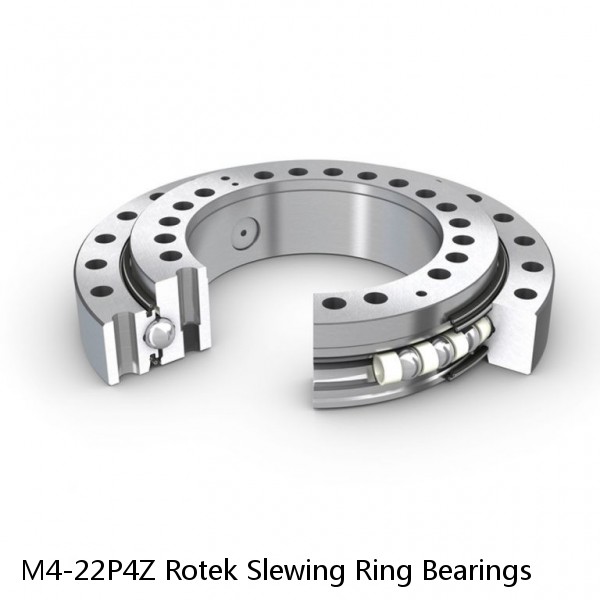 M4-22P4Z Rotek Slewing Ring Bearings #1 image