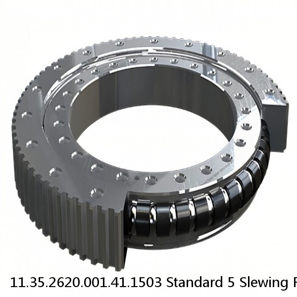 11.35.2620.001.41.1503 Standard 5 Slewing Ring Bearings #1 image