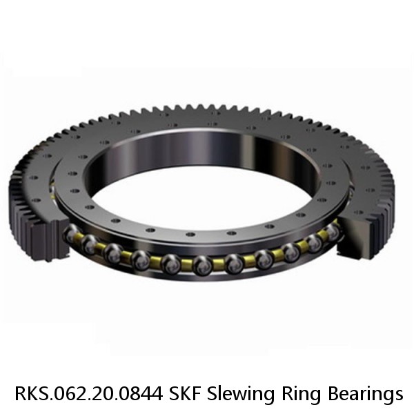 RKS.062.20.0844 SKF Slewing Ring Bearings #1 image