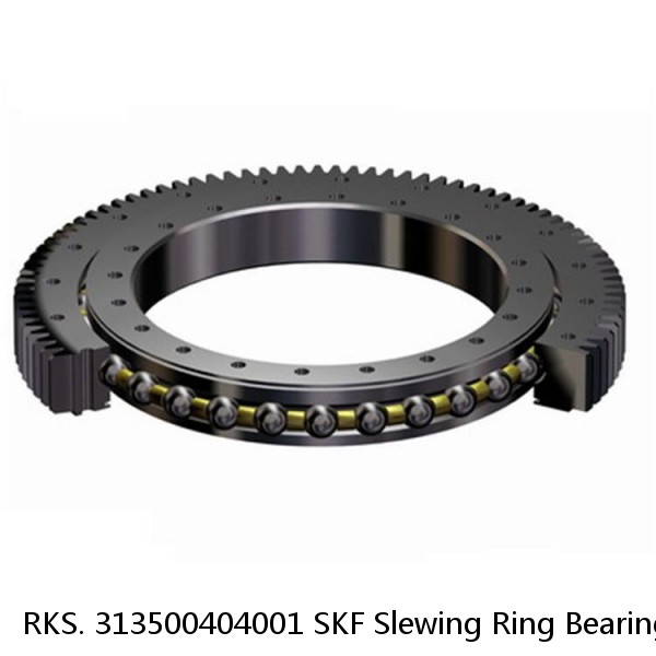 RKS. 313500404001 SKF Slewing Ring Bearings #1 image