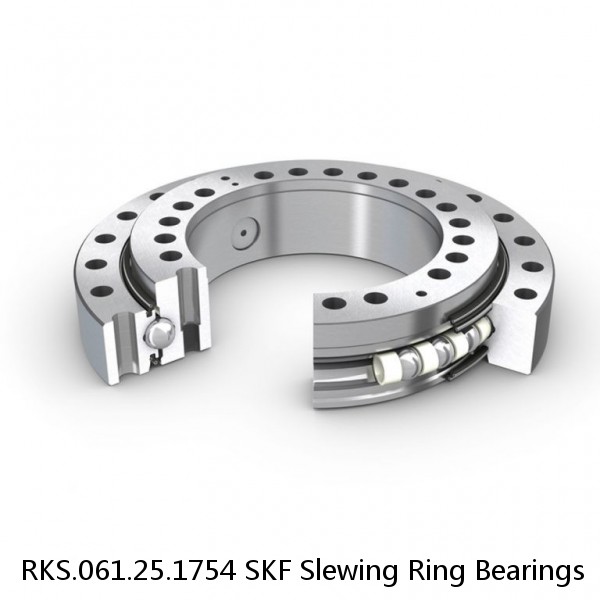 RKS.061.25.1754 SKF Slewing Ring Bearings #1 image