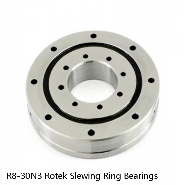 R8-30N3 Rotek Slewing Ring Bearings #1 image