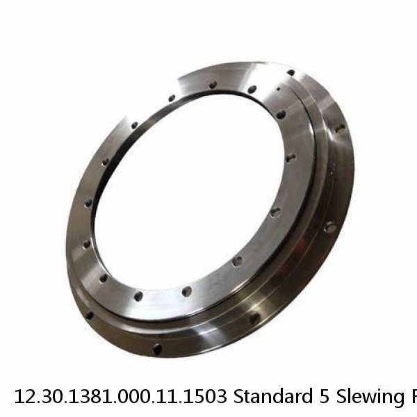 12.30.1381.000.11.1503 Standard 5 Slewing Ring Bearings #1 image