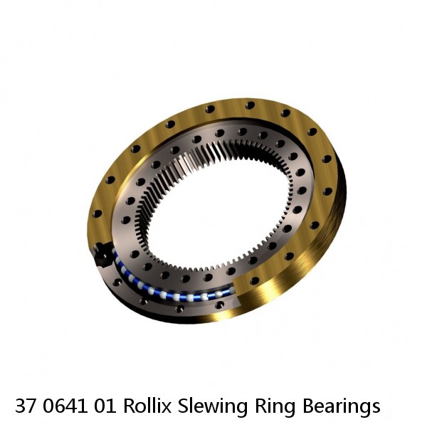 37 0641 01 Rollix Slewing Ring Bearings #1 image